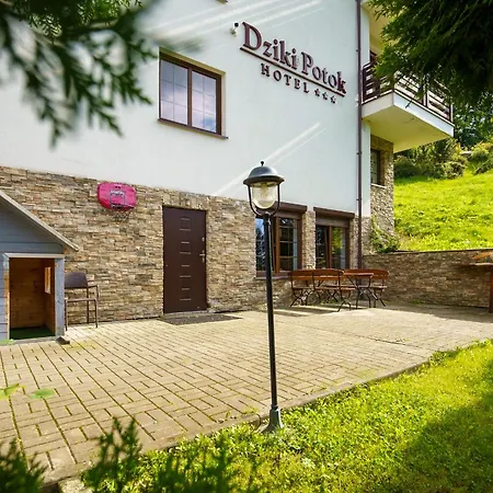 Nad Dzikim Potokiem * カルパッチ