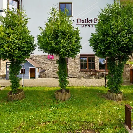 Nad Dzikim Potokiem * カルパッチ