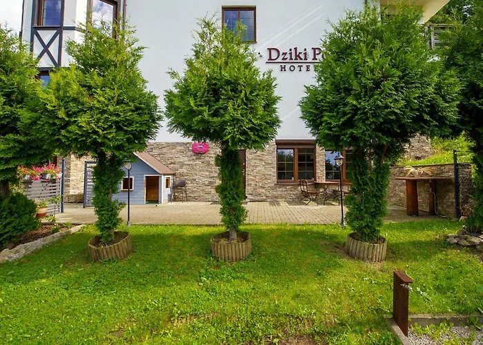 Nad Dzikim Potokiem * كارباش